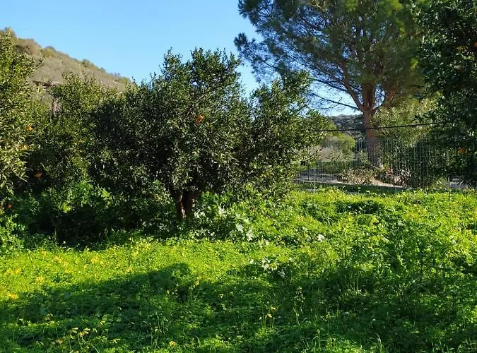 Residenza Maria Antonia - Apartman Orosei
